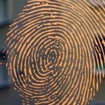 fingerprints for identification